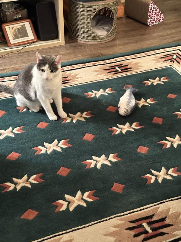 Kiko sitting on the wool rug with their favorite toy, the fish from Chewy