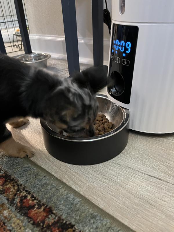 Meal time