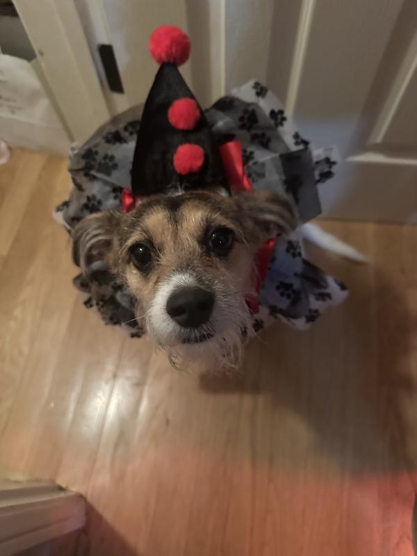 Penny being one of the clowns.