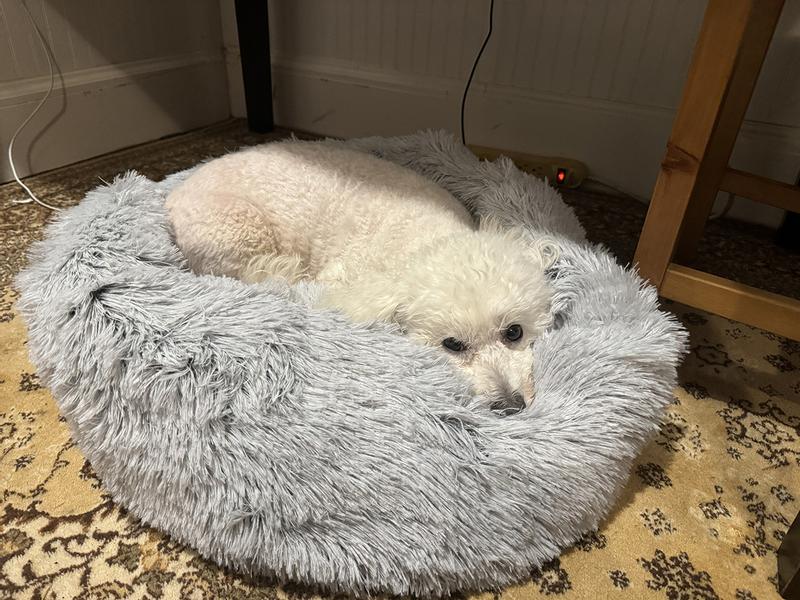 MR. PEANUT'S OrthoPlush Orthopedic Cat & Dog Bed, Snowflake White ...