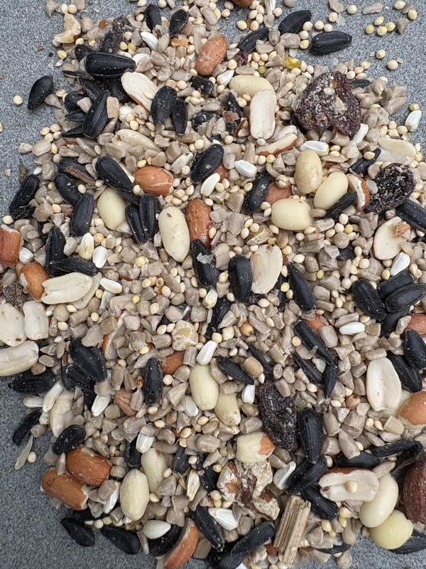 Nuts, Seeds & Raisins