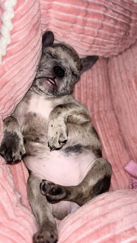 After her first meal with Health Extensions in her new home