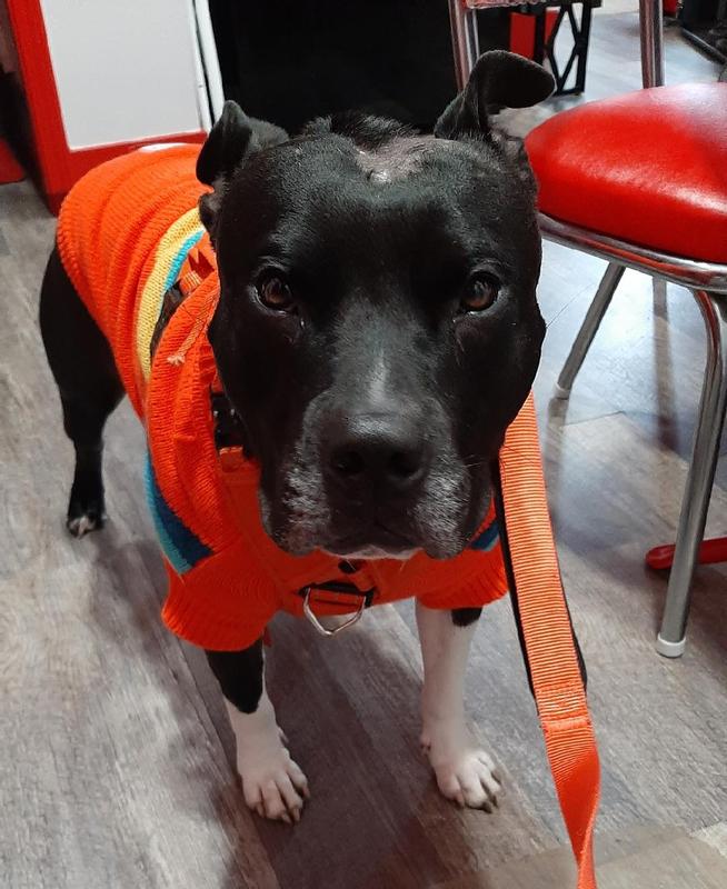 Vibrant orange!