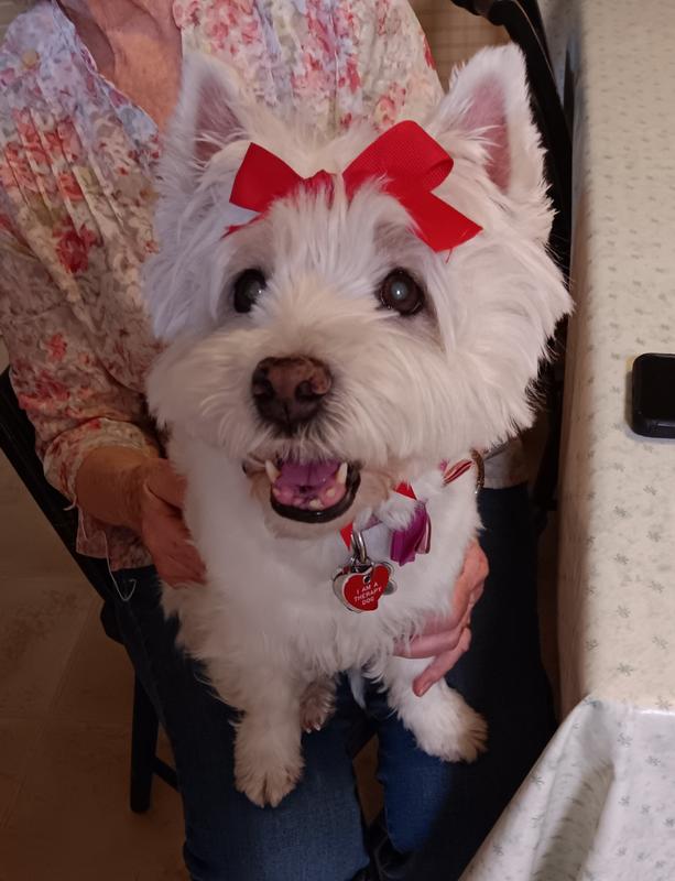 "I look great for my photo shoots because of Bio-groom Whitening Shampoo!"