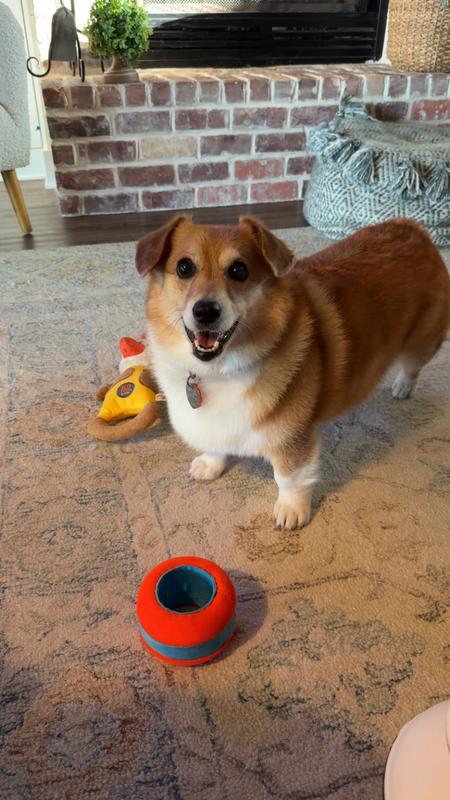 A smiles for the circle!!