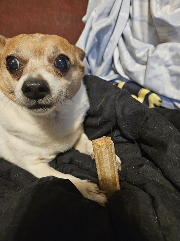Little guy grabbed it