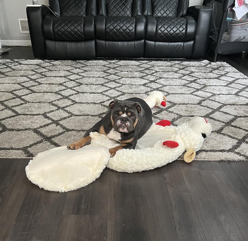 Out of Stock MULTIPET Lamb Chop Bolster Cat & Dog Bed with Removable