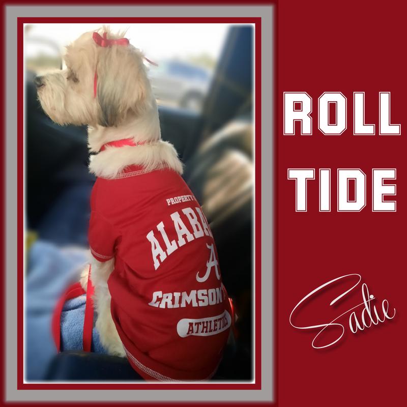 Pets First Alabama Tee Shirt for Dogs and Cats main image 0