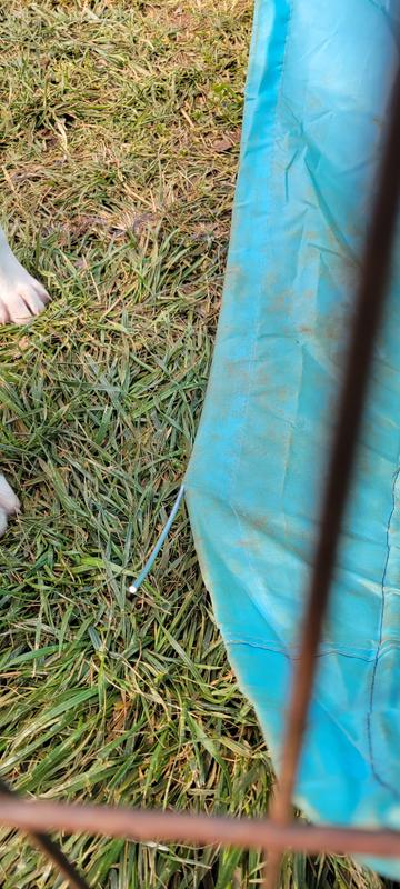 This wire could put a puppy's eye out!