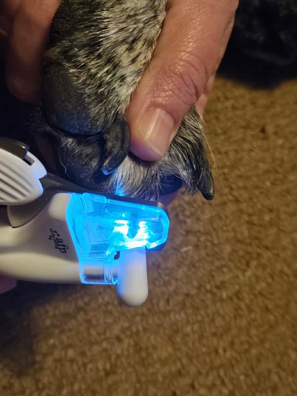 Amount being removed is highlighted-no guessing