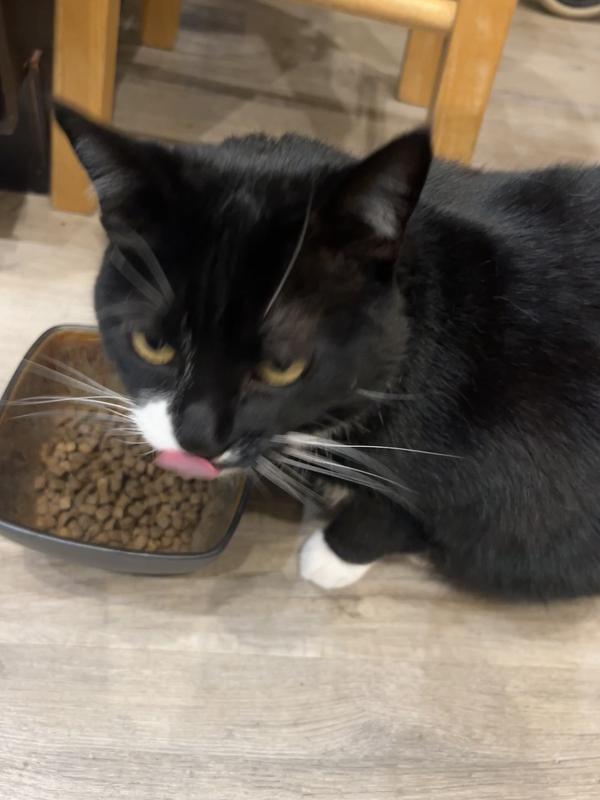 Precious with her first dish of Next Level