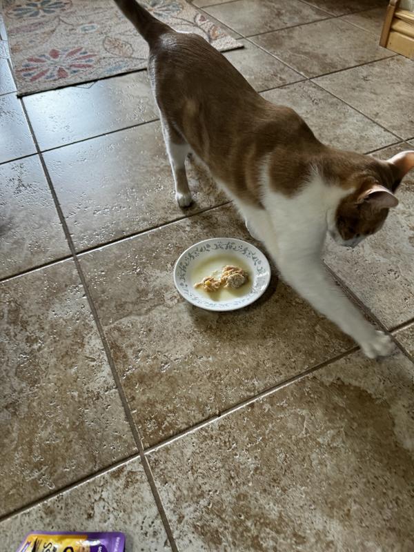 Ollie did not try it - instead he tried to bury it.