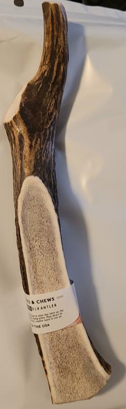 Antler 2