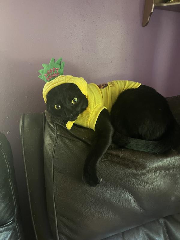 Ok mom,get your picture & get me out of this thing