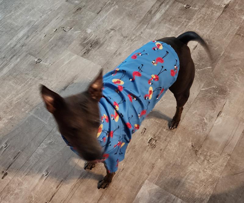It fits really well and seems comfortable.