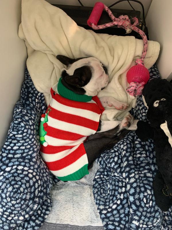 Nap time in my xmas sweater