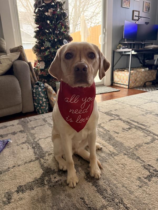 Poppy thinks this side is great!