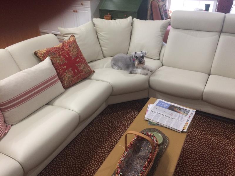 Clean enough for our white couch