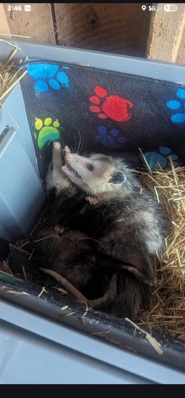 Besty & Harley staying warm