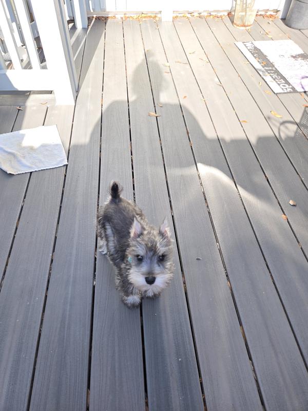 Where are the soft treats?