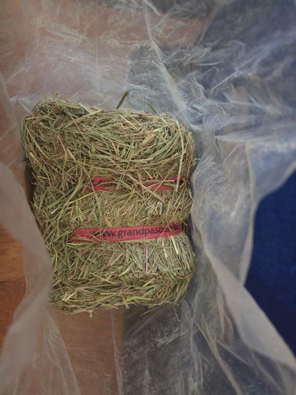 But my bag was just open (though the hay was still bound by straps).