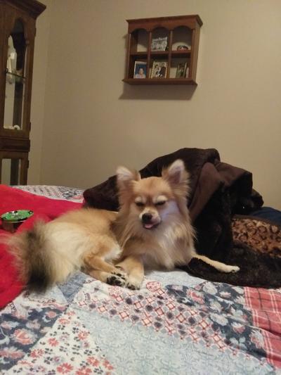 She is so special and she deserves chewy.