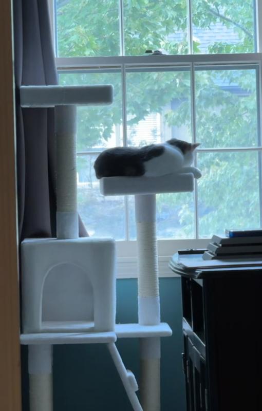 Platforms not big enough for large cats to sit comfortably.