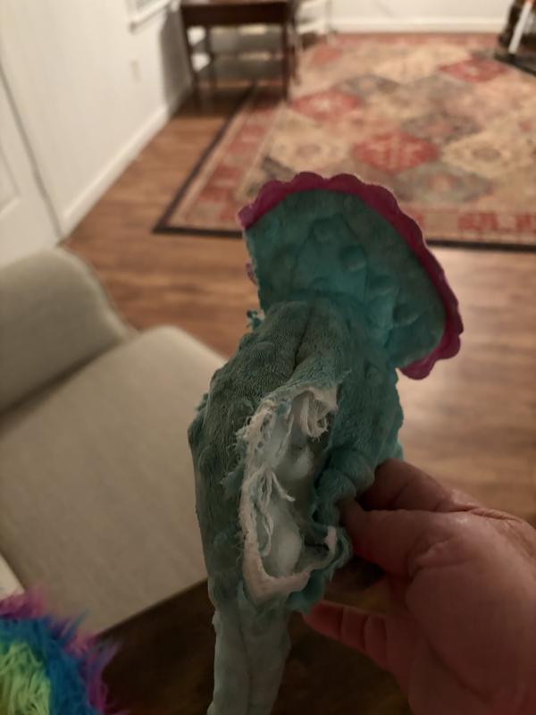 Dinosaur backbone no more