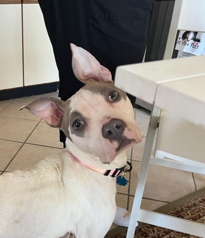 This is. Nuage after eating