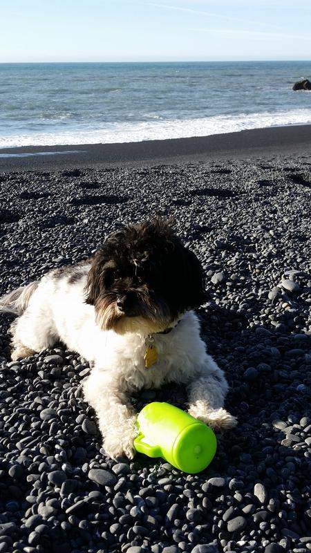 Norman on Big BlackSand's Beach