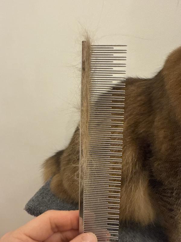 Pretty lightweight too!