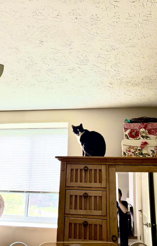 And how old are you?😂