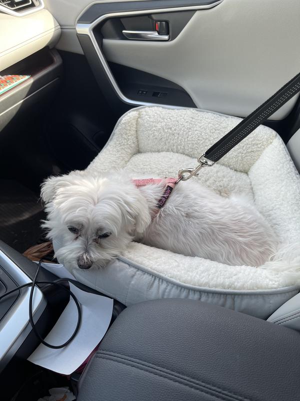 SLOWTON Adjustable Dog Car Headrest Restraint with Seat Belt, 2 count