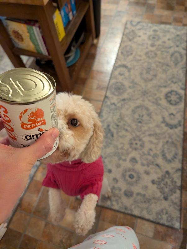 The pull tab popped off which meant I had to open with a can opener.