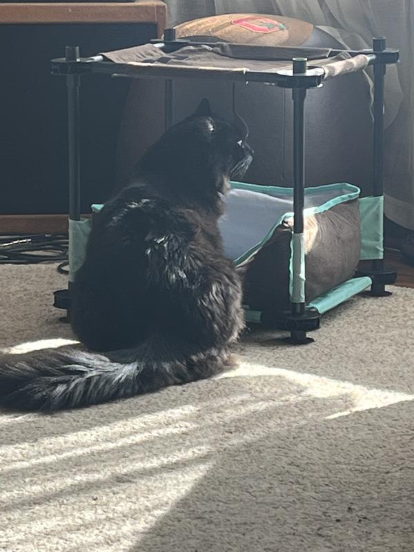 Too small for this guy