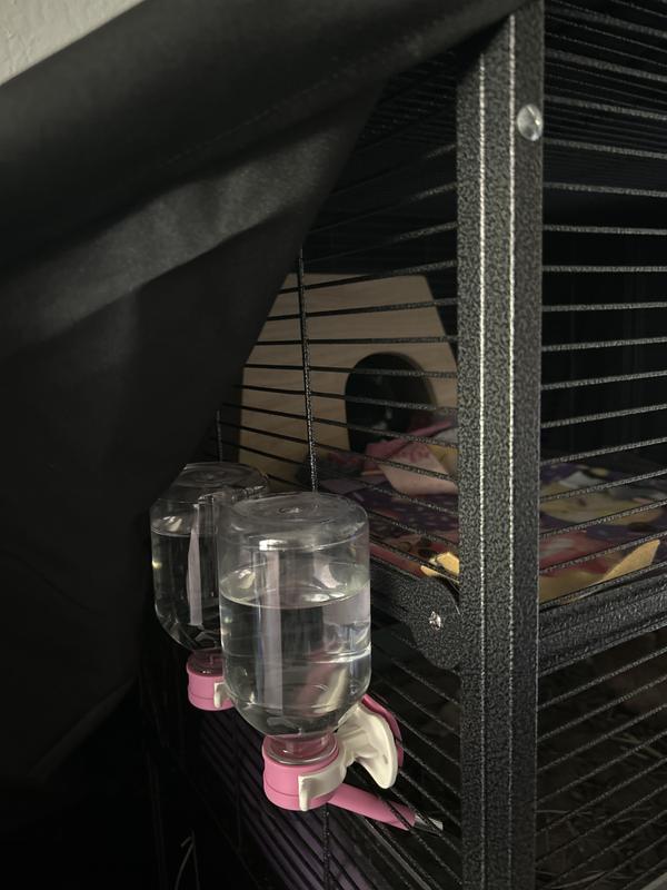 pictured is two of the long nozzle bottles and Gweneth in her hut