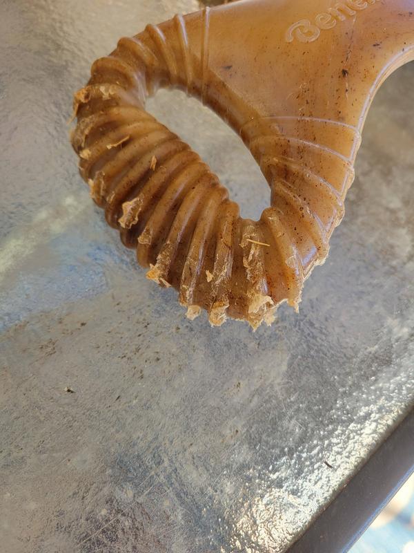 Sharp edges after just a few minutes of chewing