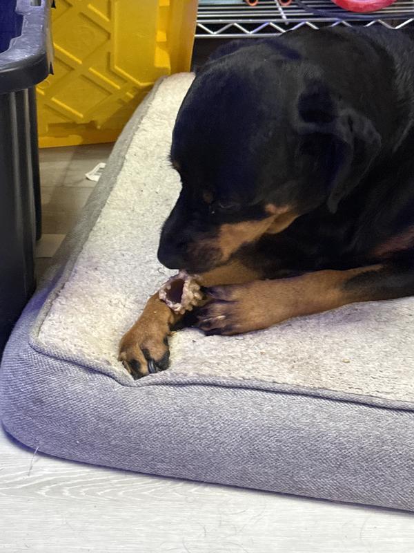 No time for pics. Strictly snack time!