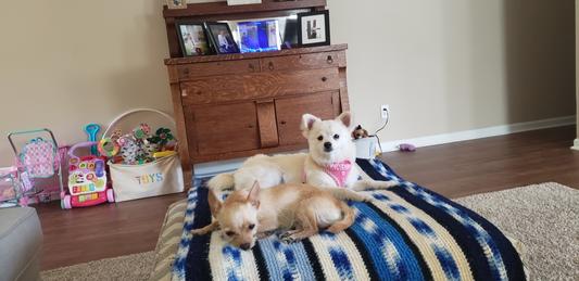 Tired after a beach walk