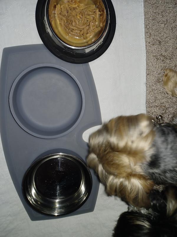 STRELLALAB Anti Itch Allergy Relief Omega Dog Chews, 120 count