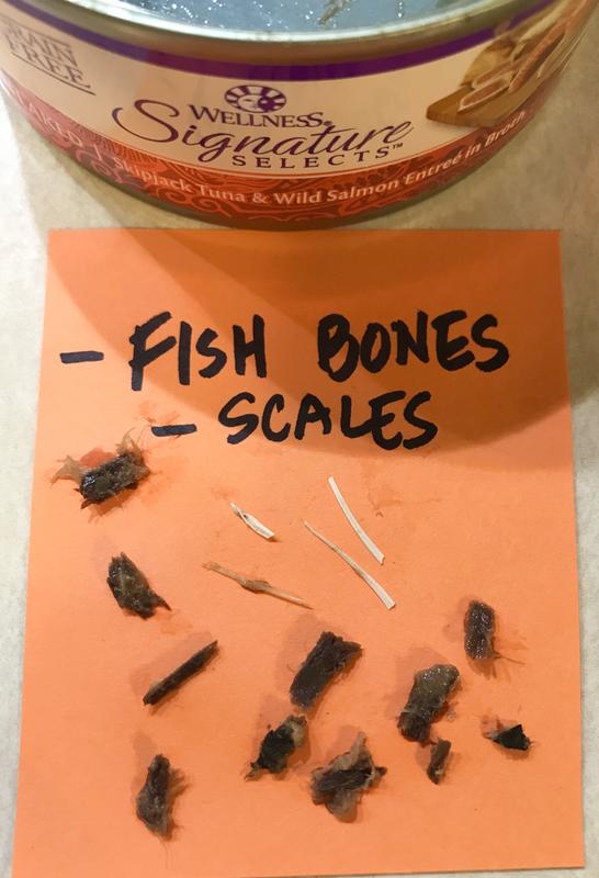 Bones and scales