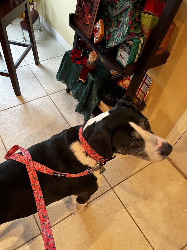 I’m looking very girly