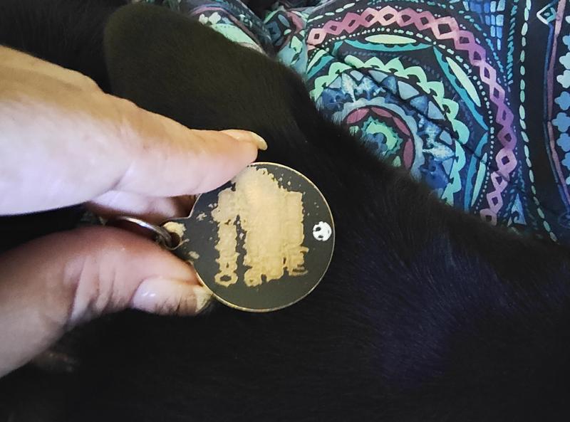 Should have my dog's name and my contact info