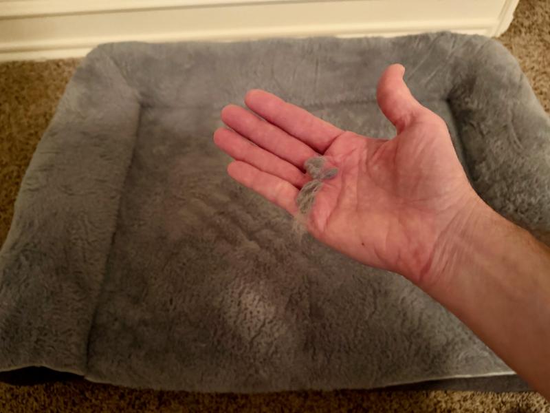 Fuzz from bed caused by dog nesting