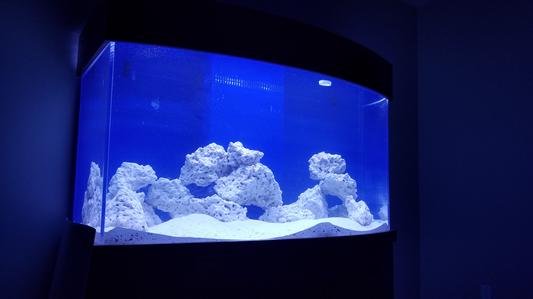 NATURE'S OCEAN Natural Coral Aquarium Base Rock, 40-lb box 