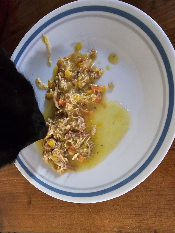 Kitty llovin the goodness