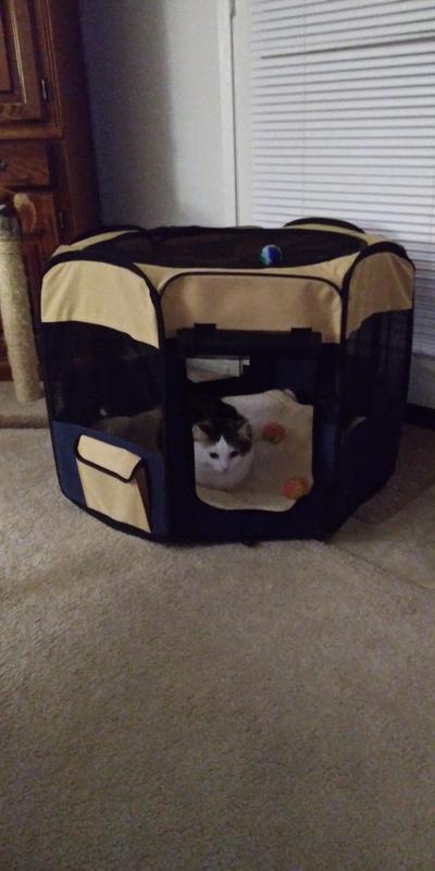 A content home owner