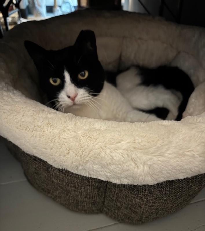 7lbs, lots of room around her, but still super toasty warm!