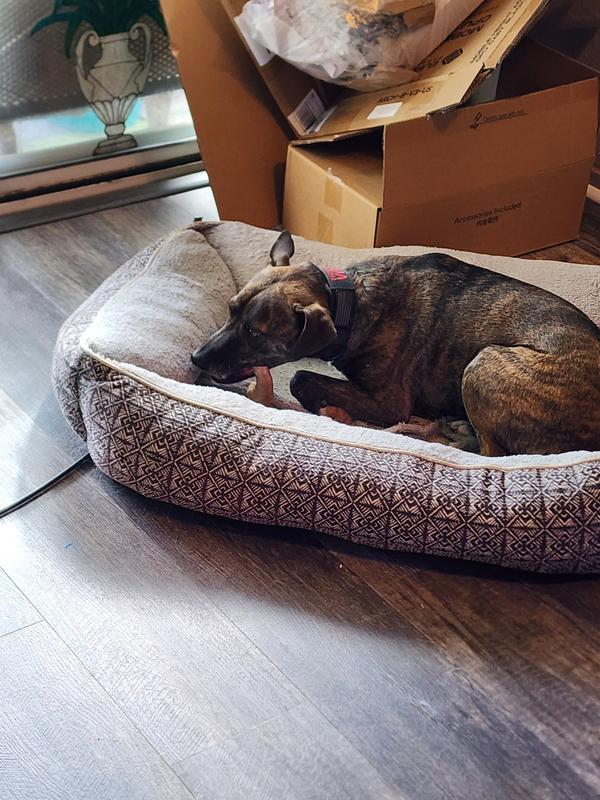 Freyja went to her bed and enjoyed  hers thoroughly