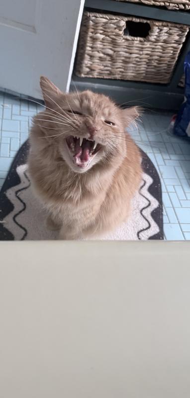 Call of the wild lol